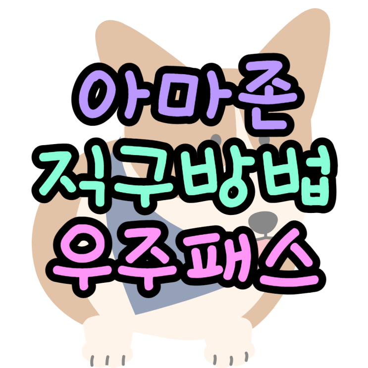아마존 직구방법 11번가 우주패스 사용후기 아마존 직구방법 11번가 우주패스 사용후기