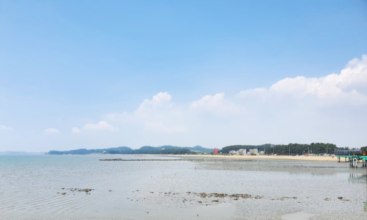  주간 일기 6월 첫 번째