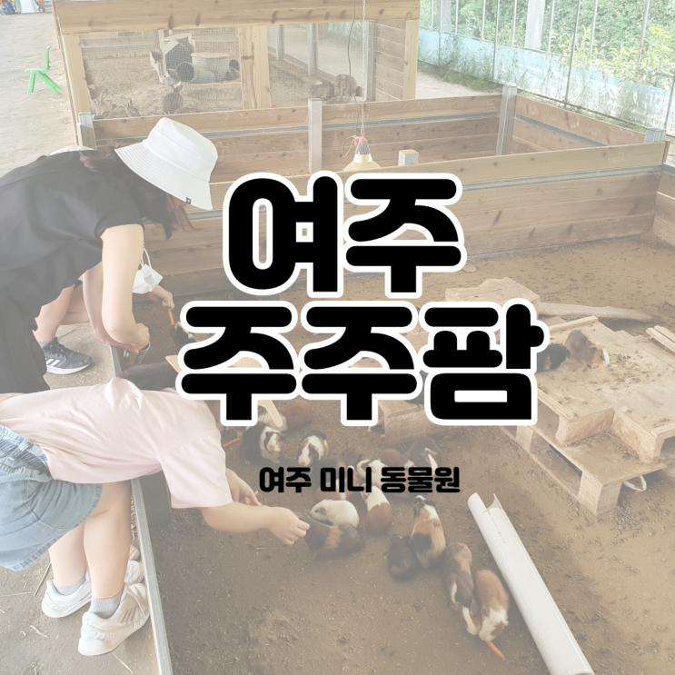  동물체험농장 여주 주주팜 동물 먹이가 무한리필!