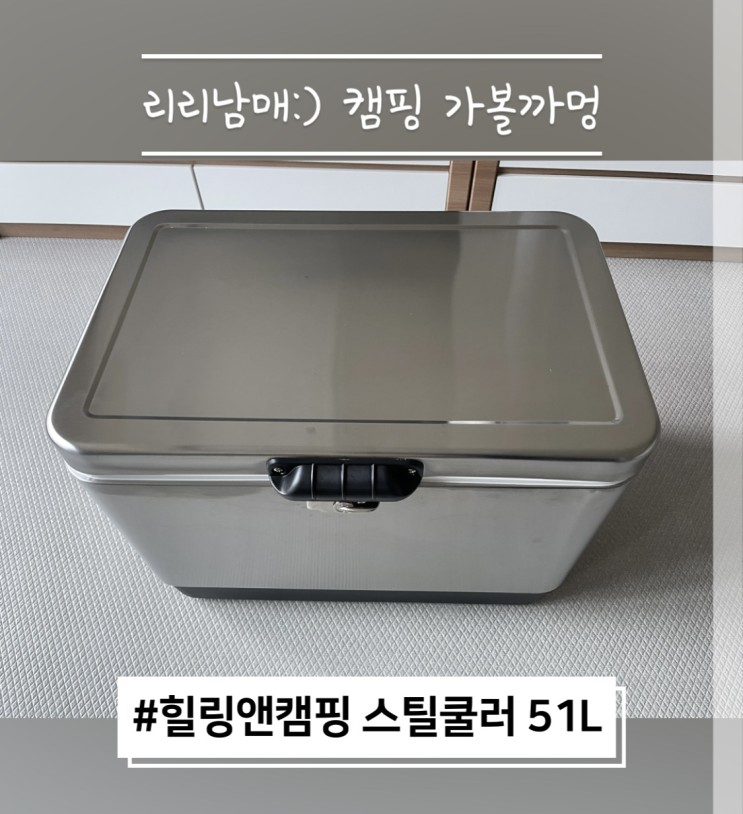 스틸 쿨러 힐링앤캠핑 아이스박스 51L 캠핑용품 내돈내산 리뷰