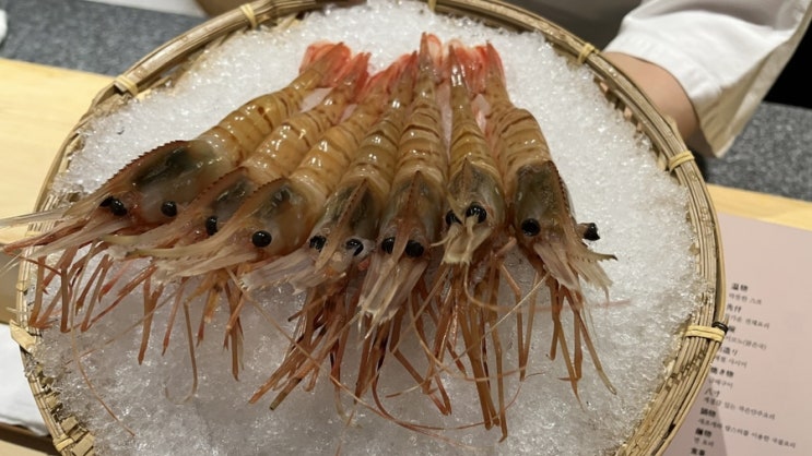  [서초 맛집] 서초역 스시오마카세 '스시소라&호시노소라' 에서 저녁먹기 ㅣ 뮤지컬 '라이온킹' 내한공연 관람