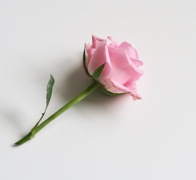 생리혈 색깔 검은색 or 갈색 덩어리 위험한가요? 생리혈 색깔 검은색 or 갈색 덩어리 위험한가요?