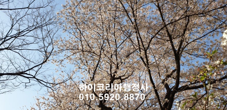  [행정정보] 집에서 요양중인 경우 재가 암환자 지원방법 및 절차