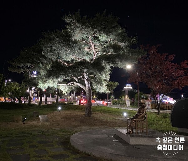  보은 뱃들공원에 소나무 야간 경관조명 설치