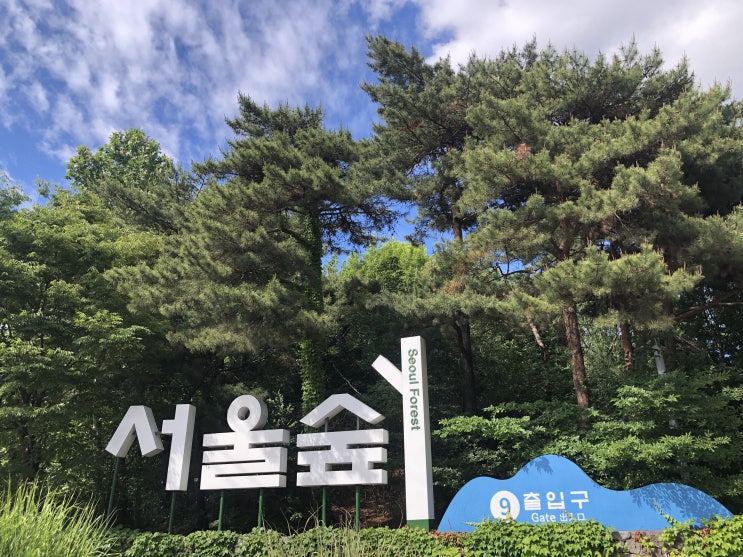  서울숲 나들이