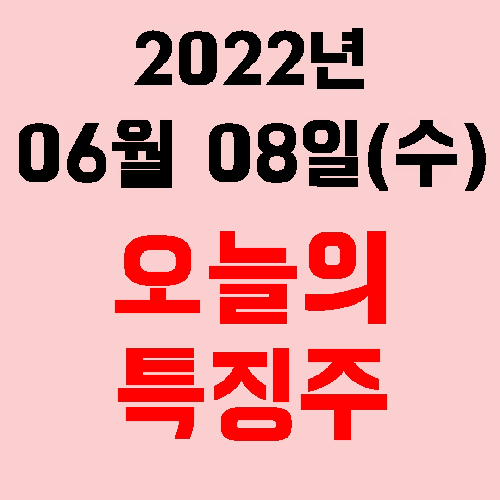  오늘의 시장 특징주 2022년 06월 08일(수)