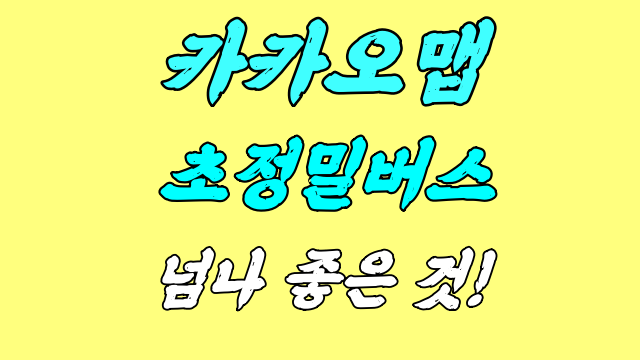  카카오맵 초정밀버스 물건이네?