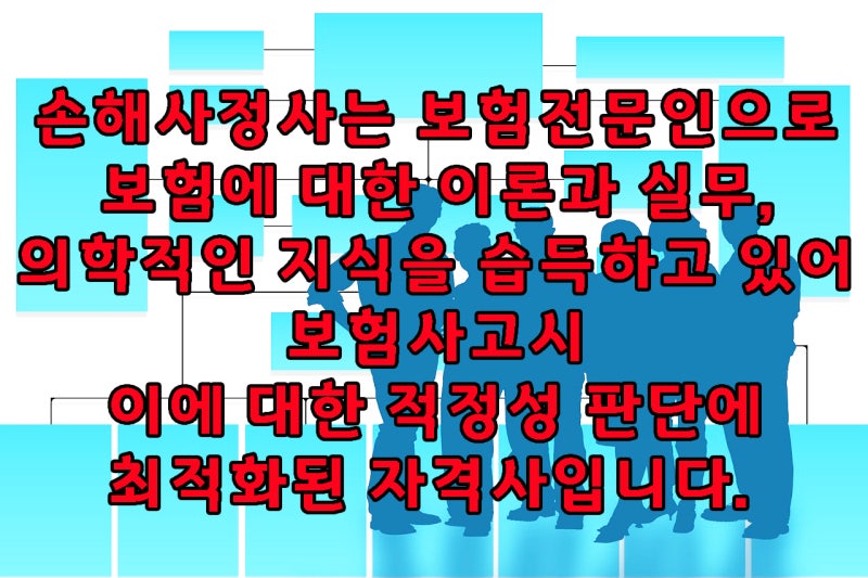 손해사정인, 손해사정사, 보험전문가는 구체적으로 무엇을 할까. 2