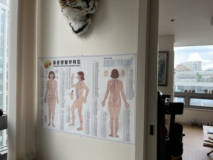 잠실척추교정, 잠실골반교정 전문 황룡교정원에서 시원하게 체형교정관리 받은 후기