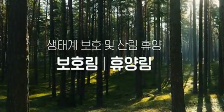 품질 좋은 국산 목재 제품 공모합니다!_산림청 품질 좋은 국산 목재 제품 공모합니다!_산림청