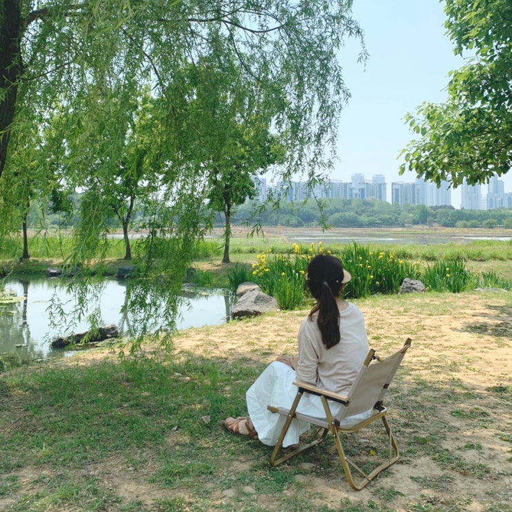 22. May 3rd / 아카시아의 계절, 그리고 피크닉 (연희자연마당)