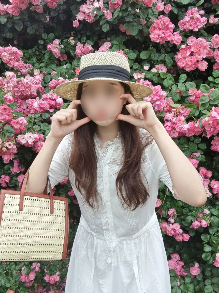  [제주 조천] 북촌에가면 : 장미 동굴에서 사진을 건지고 싶다면 여기! + 카페 메뉴, 가격, 위치