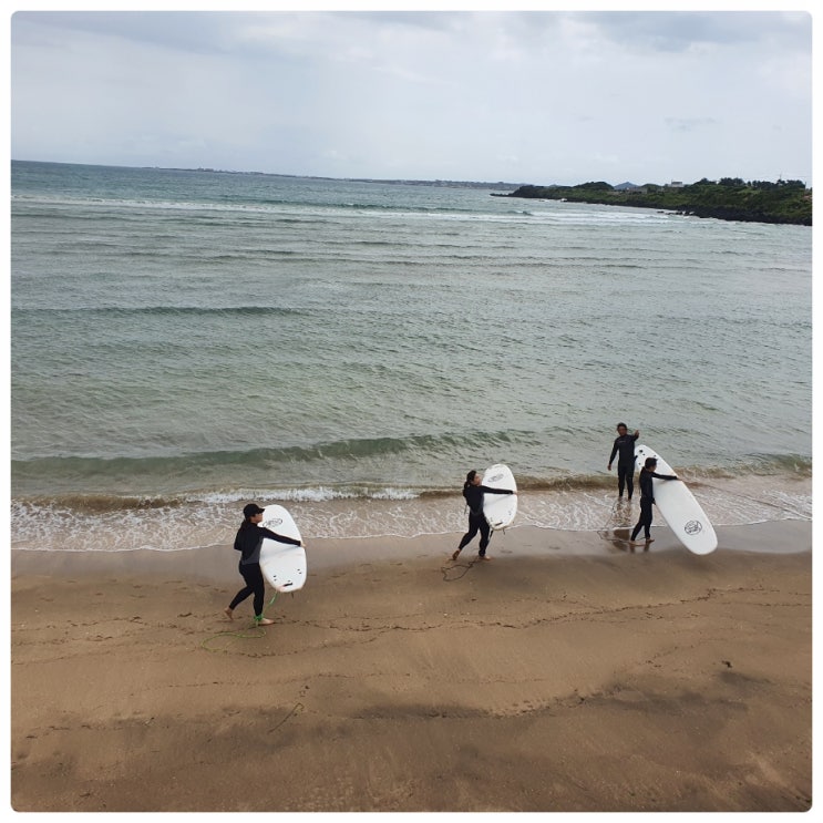  제주도 바닷가 한달살이 제주도한달살기펜션 가비오타펜션 제주도 한달살기 비용, 제주 구좌읍 숙소, 후기