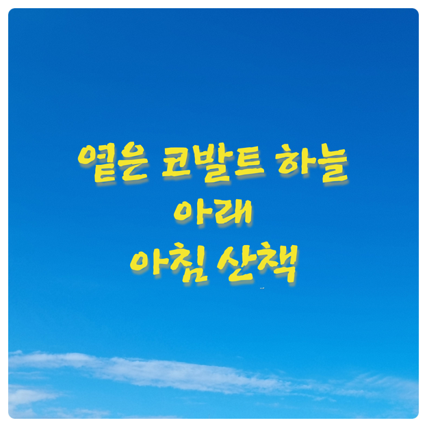  옅은 코발트 하늘 아래 아침 산책_안양비산체육공원