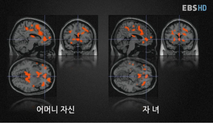  양날의 검, 당신의 앞길을 가로막는 '부모'의 진실