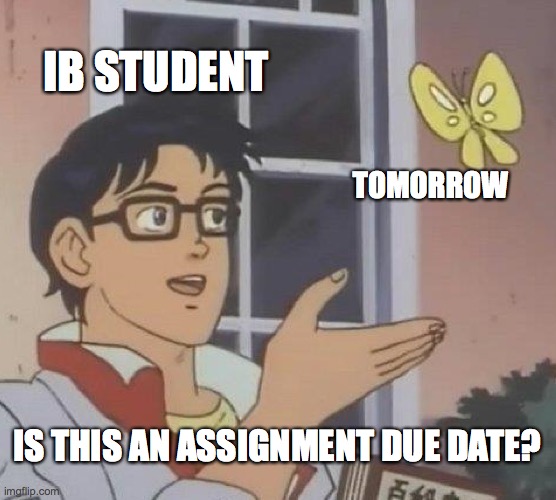  IB May 2022 파이널 시험 후기 + 시험 내용 (exam route)