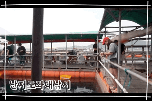  [당진] 훼미리호좌대낚시  난지도낚시 커플낚시 우럭회 손맛