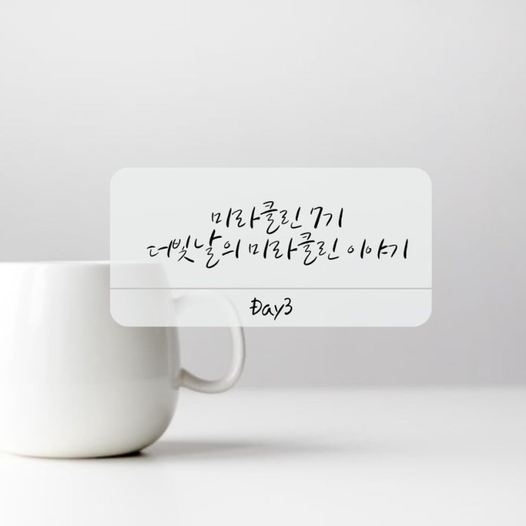  [미라클린 7기]Day 3 정리의 힘