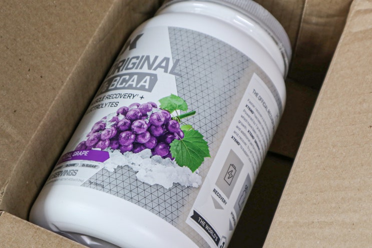  엑스텐드 BCAA 포도맛 90서빙 구매