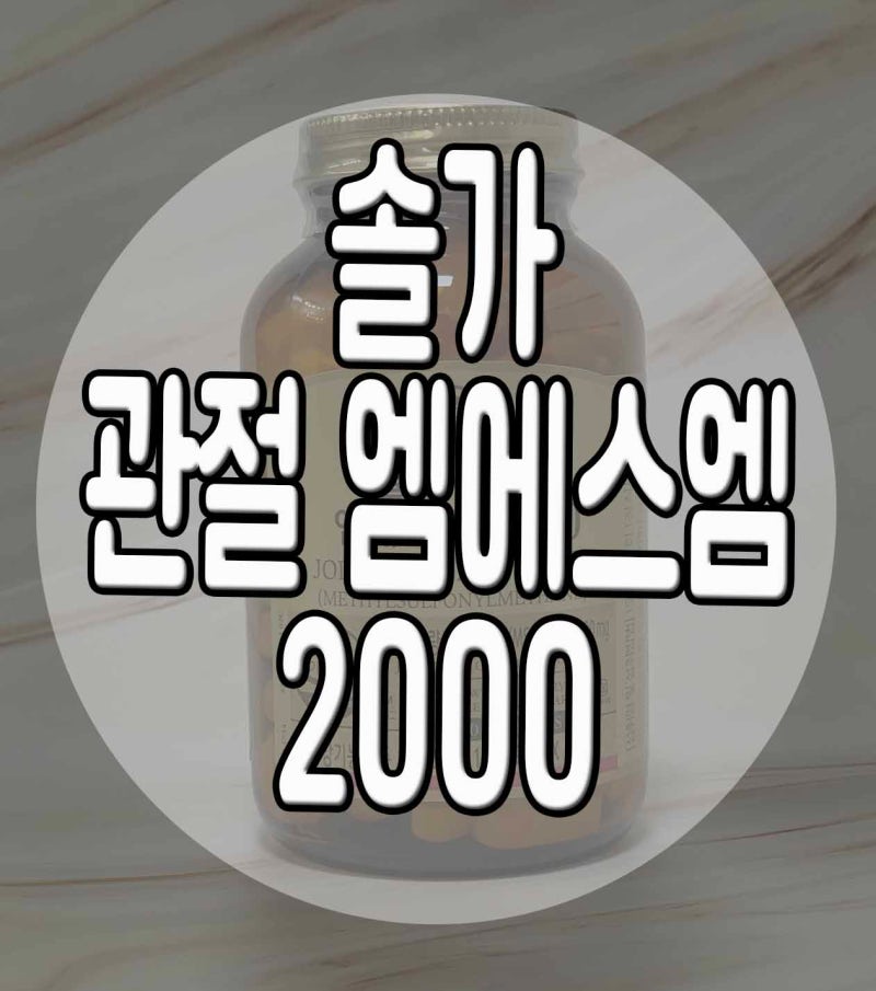 관절영양제 솔가 관절 MSM 2000 꾸준히 먹어 본 후기