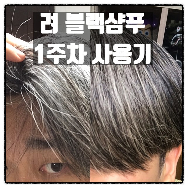 염색샴푸 선택 고민 끝 려 블랙샴푸 회색머리 커버 1주차 사용후기 염색샴푸 선택 고민 끝 려 블랙샴푸 회색머리 커버 1주차 사용후기