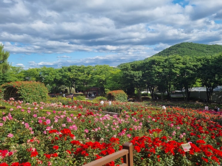  계양산