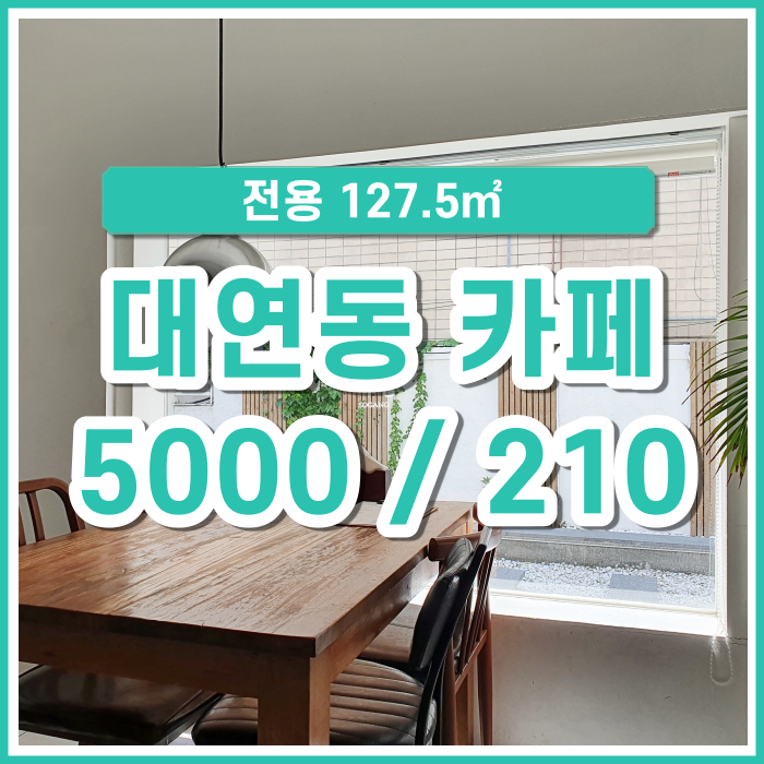  부산시 남구 대연동 카페 인스타에서 난리날 분위기 끝판왕 상가임대
