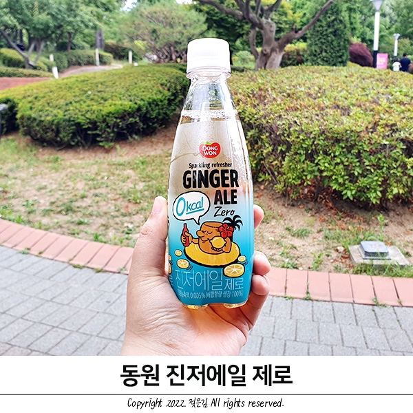 동원 진저에일 제로 고기와 잘어울리는 탄산음료로 강추! 동원 진저에일 제로 고기와 잘어울리는 탄산음료로 강추!