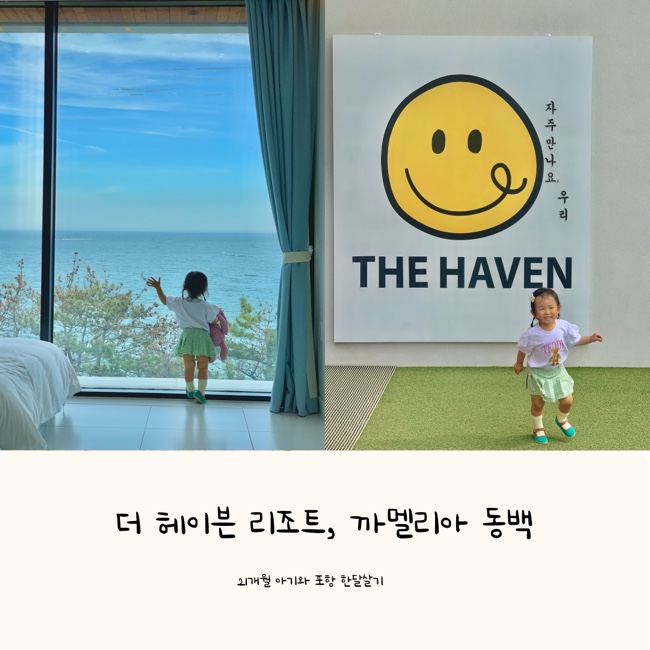  감성숙소 더헤이븐리조트 스탠다드 오션 203호, 까멜리아 동백 | 21개월 아기와 포항여행 한달살기