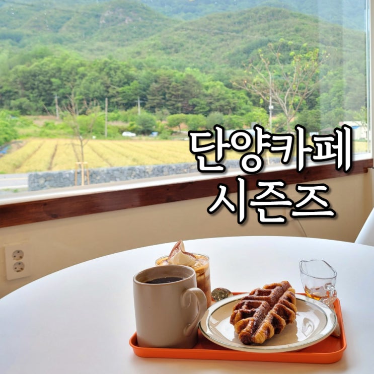  단양 카페 시즌즈 커피와 크로플 맛집 비오는날 운치 구경