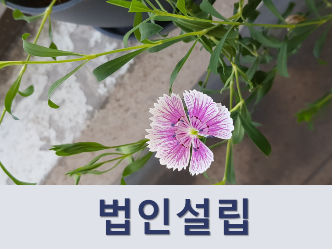  법인설립요건 하나부터 열까지 자세히 알아보자