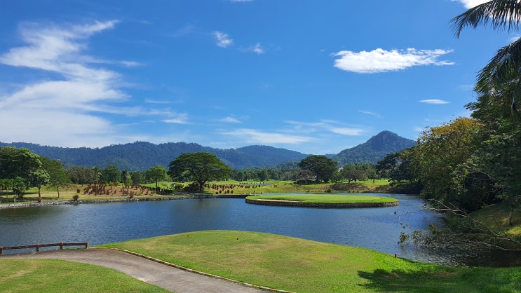  카오키여우 C.C