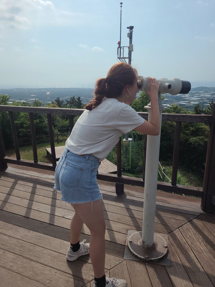  제주도 오름 추천 저지오름 쉽게 오를 수 있는 힐링각오름