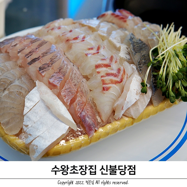 신불당횟집 불당동 수왕초장집에서 비오는 날 한잔