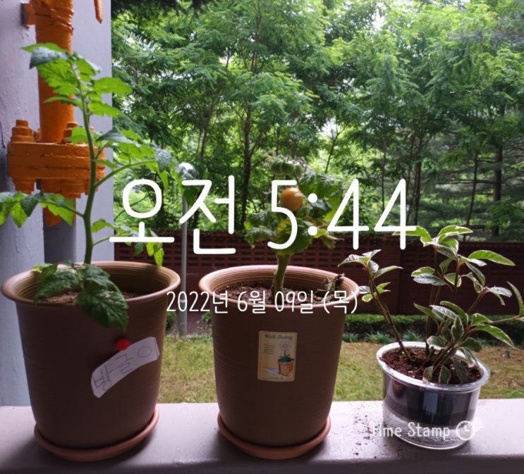  6월 9일 감사일기