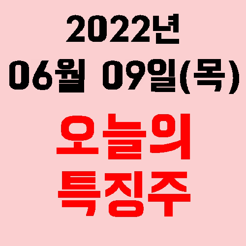  오늘의 시장 특징주 2022년 06월 09일(목)