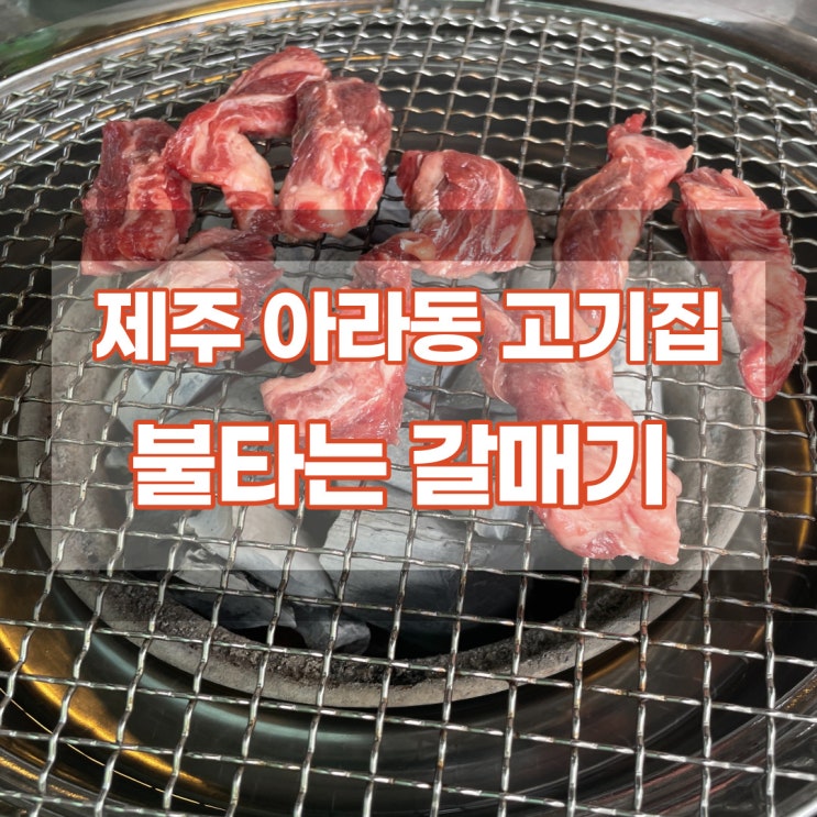  제주 아라동 고기집 불타는갈매기