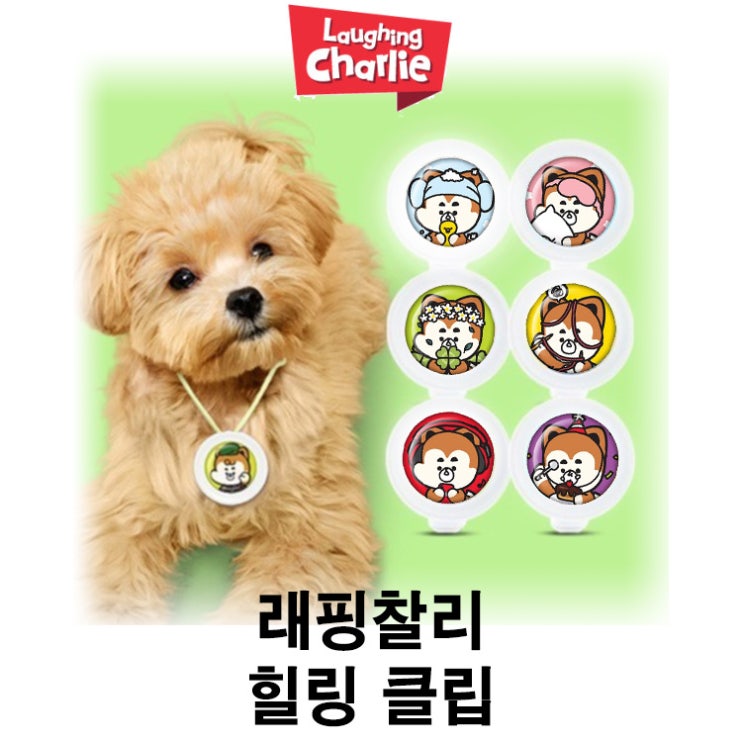 [래핑찰리 힐링 클립] 배곧 반려용품점 펫마루