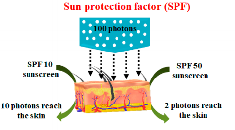  자외선 차단지수 SPF, PA 뜻은? 높을수록 차단효과 좋다? 팩트체크