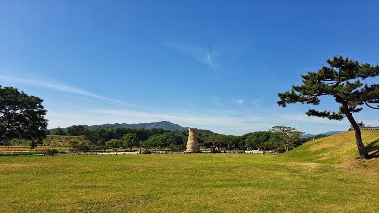  주간 일기, 자그마한 도전의 시작