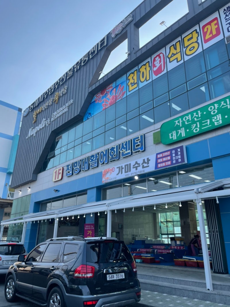 동해 묵호항 맛집 가미수산 친절한 사장님과 싱싱한 해산물 ...