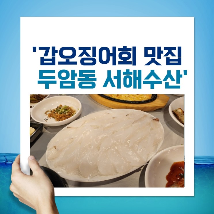 광주 갑오징어회 맛집 두암동 서해수산