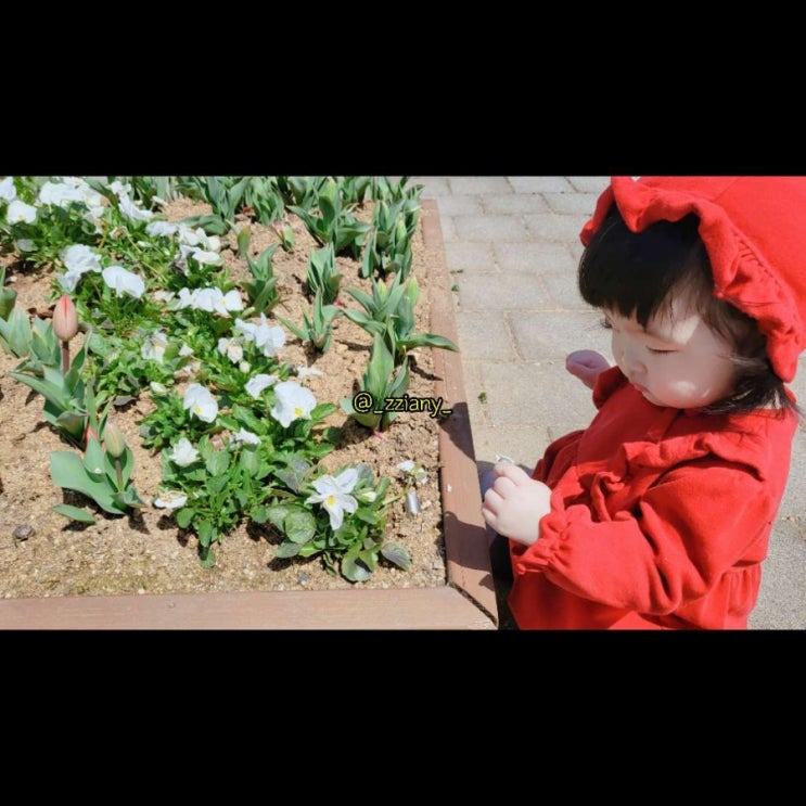  0407 배다리저수지 산책 / 베이비카페 슈슈봉봉