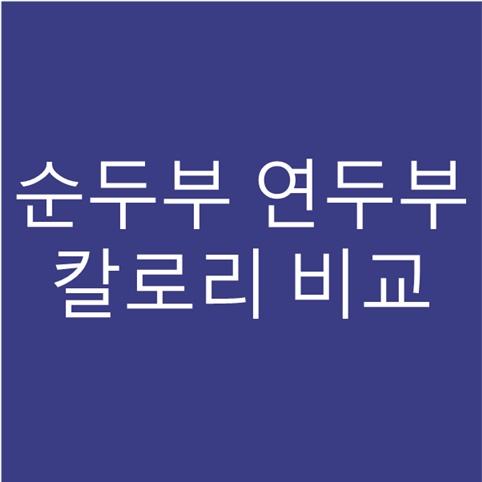 순두부 연두부 칼로리 차이 비교