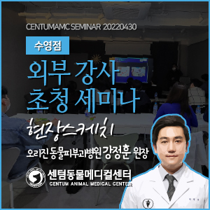  수영점 / 2022년 4월 외부 강사 초청 세미나 현장스케치 (센텀동물메디컬센터 수영점)