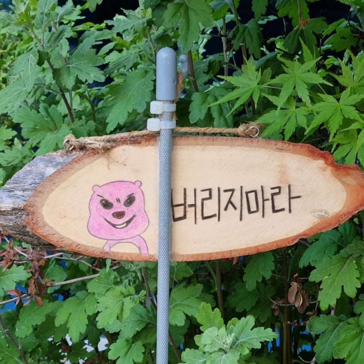  참여 안 하기엔 찜찜해서 써보는 주간일기 6월 1주차