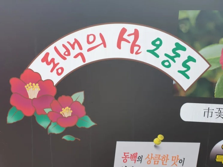  여수 오동도 아이와 가볼만한곳