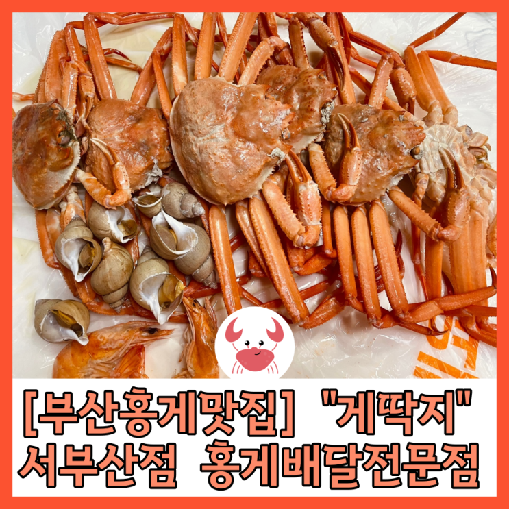 [부산진구맛집] 홍게배달 전문점 “게딱지” 서부산점