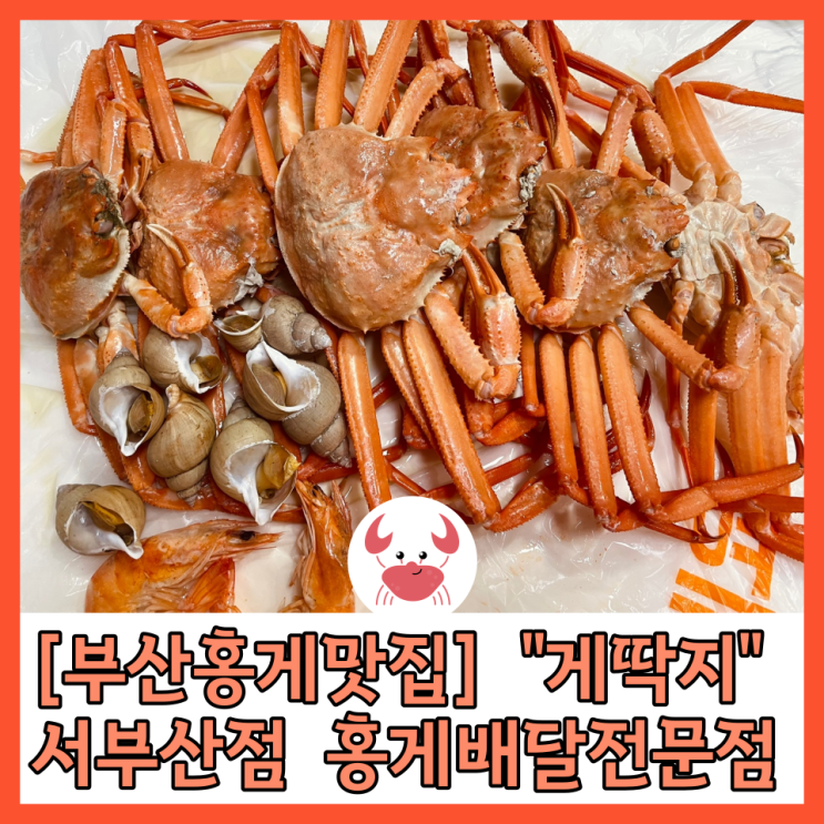  [부산진구맛집] 홍게배달 전문점 “게딱지” 서부산점