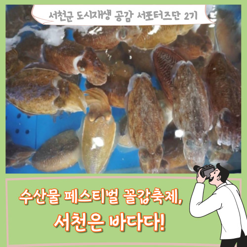  [서포터즈]수산물 페스티벌 꼴갑축제, 서천은 바다다!
